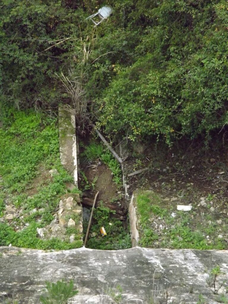 lago tortugas medranas