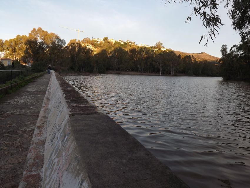 lago tortugas medranas